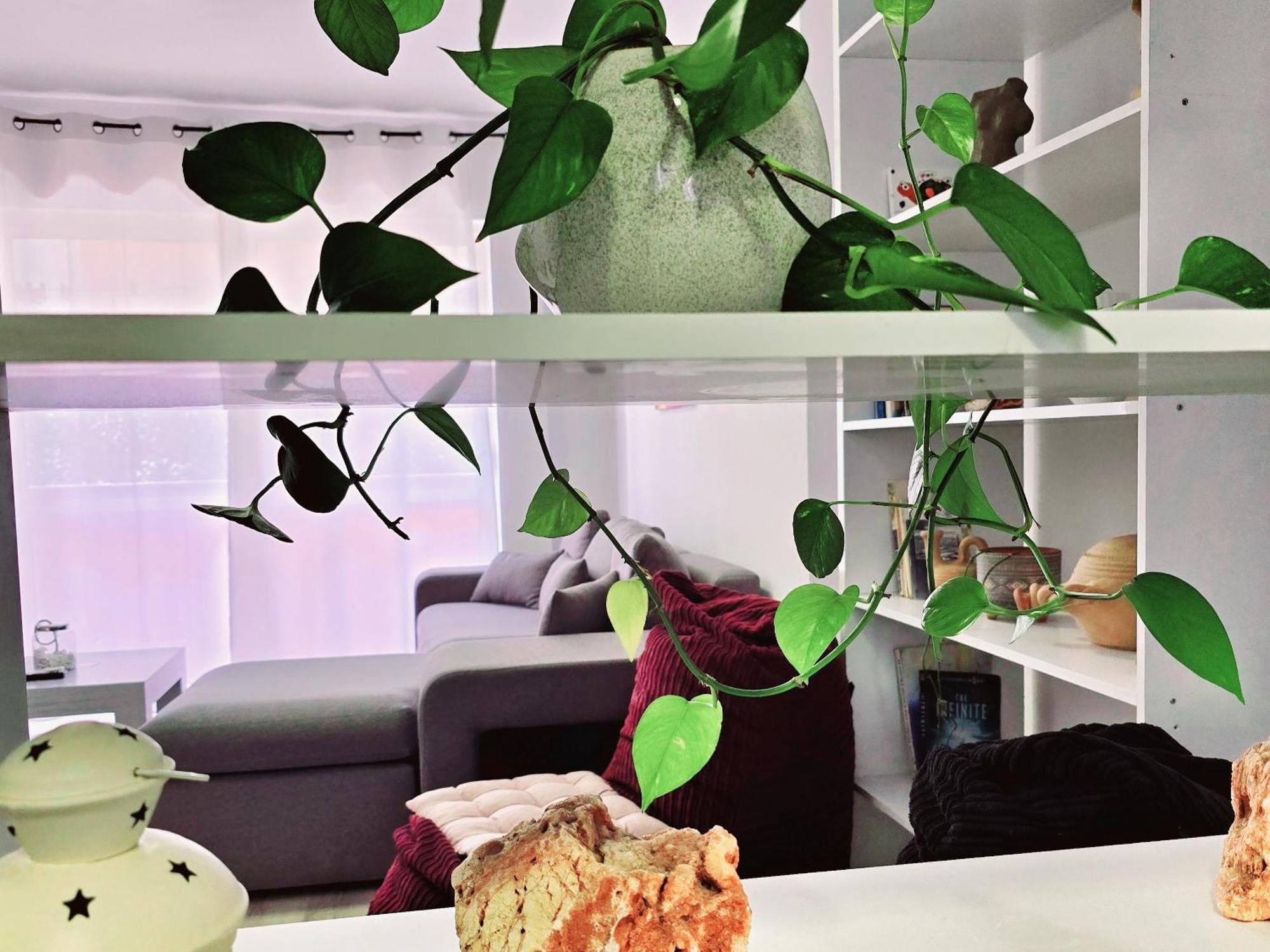 Micasatucasa Tirana Apartment Luaran gambar